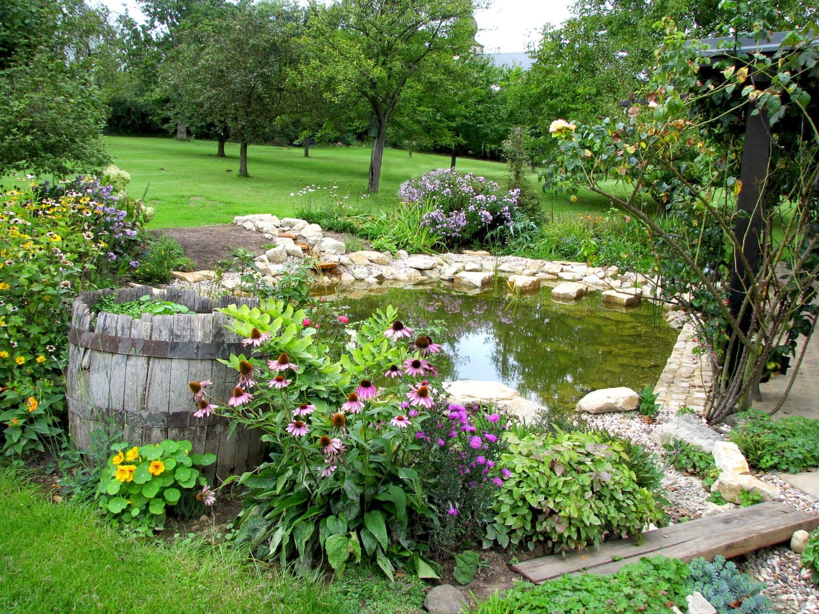 Swimming Pond Slide 5