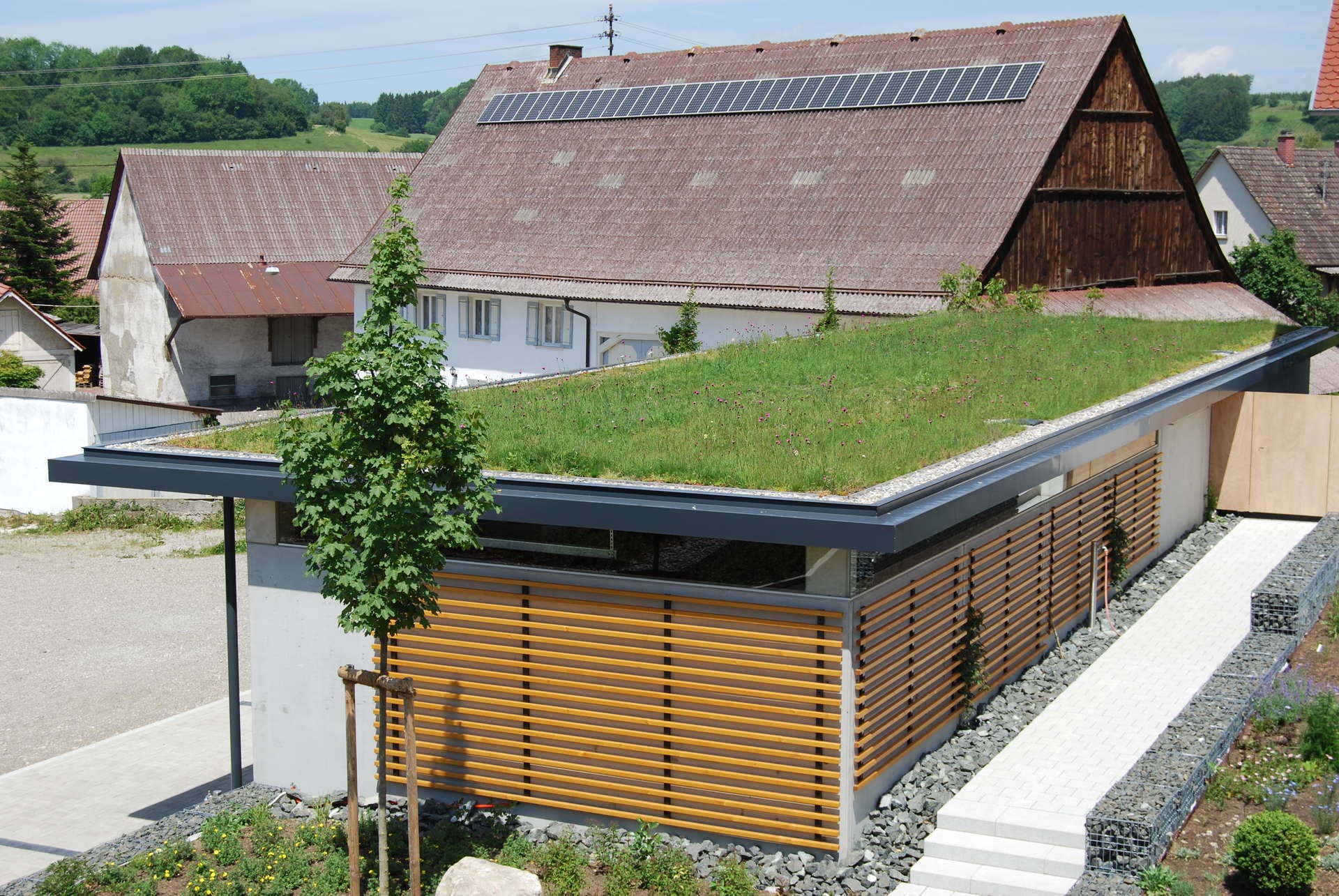 Swimming Pond Slide 4