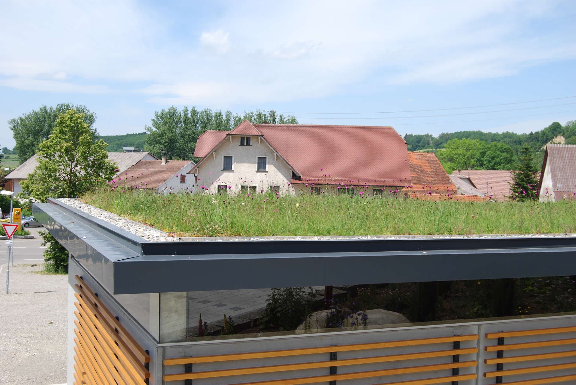 Swimming Pond Slide 5