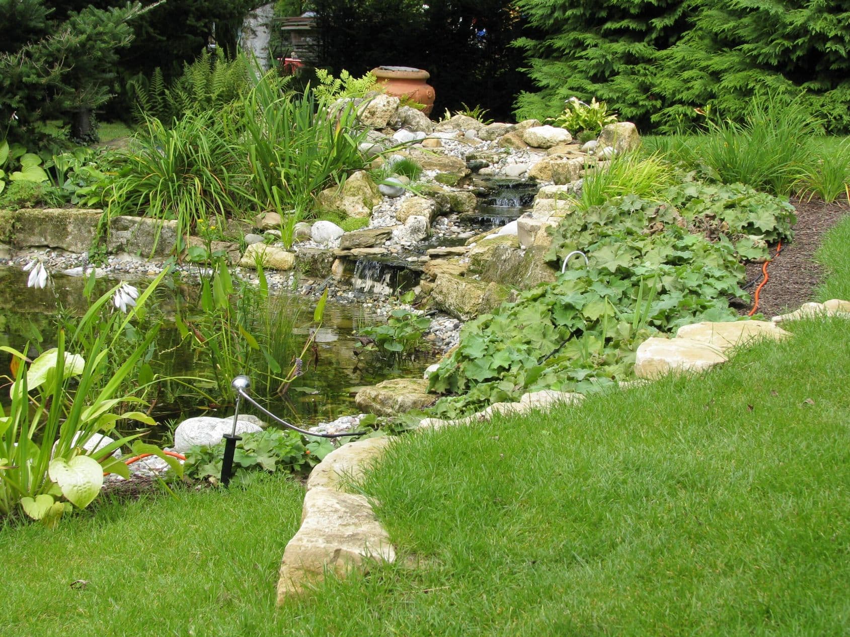 Swimming Pond Slide 8